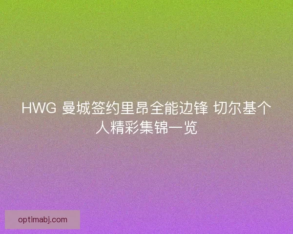 HWG 曼城签约里昂全能边锋 切尔基个人精彩集锦一览