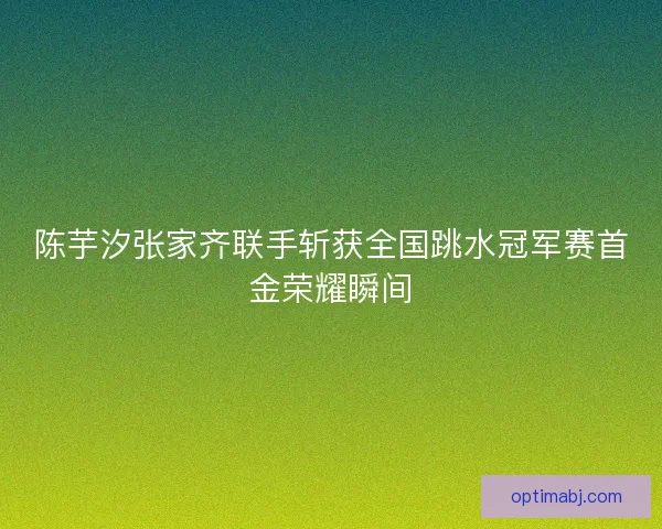 陈芋汐张家齐联手斩获全国跳水冠军赛首金荣耀瞬间